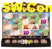 38v.com